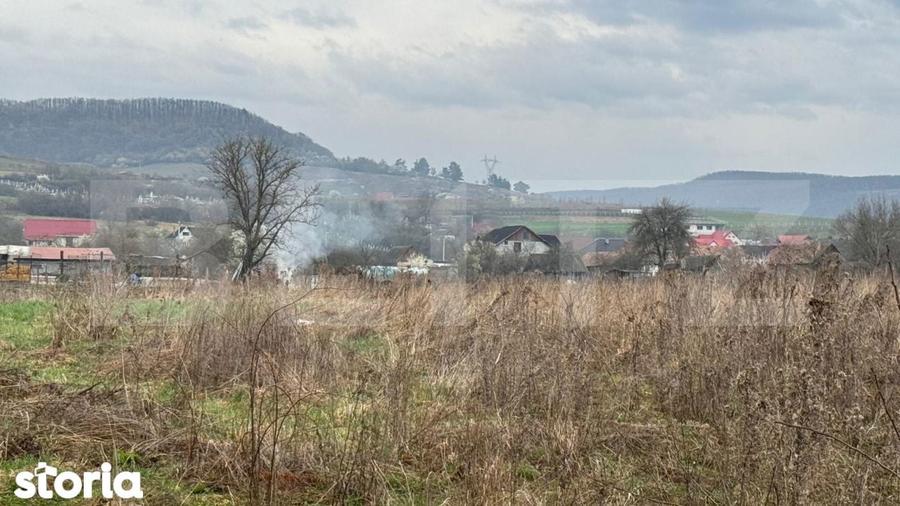 Teren Pentru Constructii 9292 mp- zona Cuzdrioara - 1