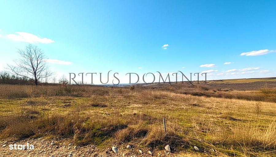 Teren Intravilan Parcelare, Lac Paleu, 8592mp, Deschidere 32ml - 2