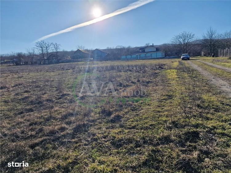 Teren intravilan 1.800 mp Deschidere 104 ml | Sarata Bacau - 3
