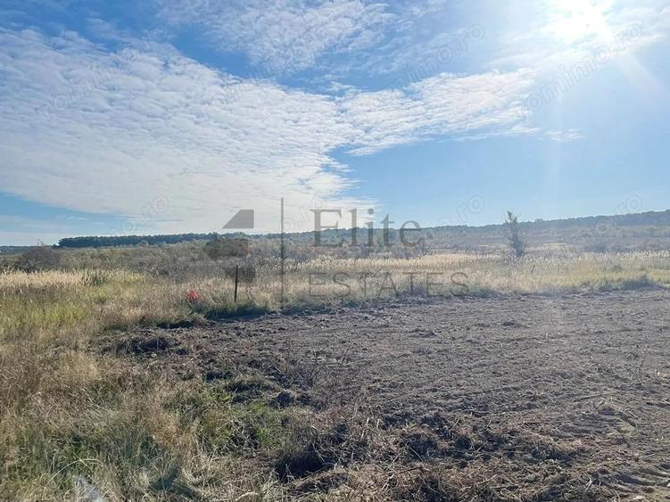 Teren intravilan de vanzare in Cihei - 2