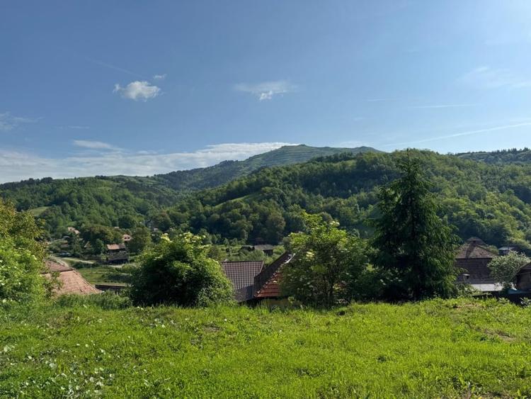 Casa de vanzare, 5 cam., 200 mp. + 5000 mp. teren, Valea Ariesului - 16