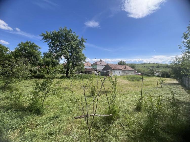 Casa la tara - 23km de Sibiu + teren 2300mp, sat Rusi - 3