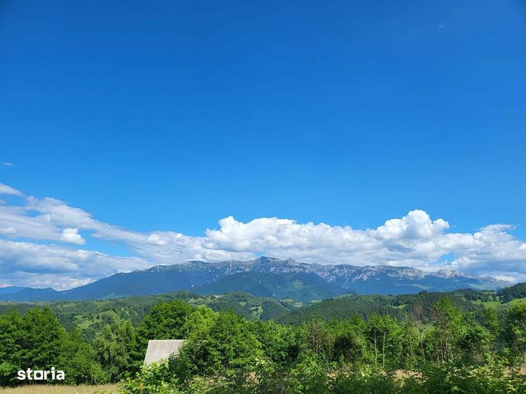 Teren 3 ha Moieciu de Jos | Drumul Carului I Panorama | Utilitati - 5