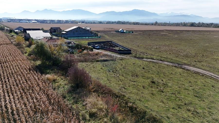 Comision 0% | Teren intravilan 600 mp | SANPETRU - 6