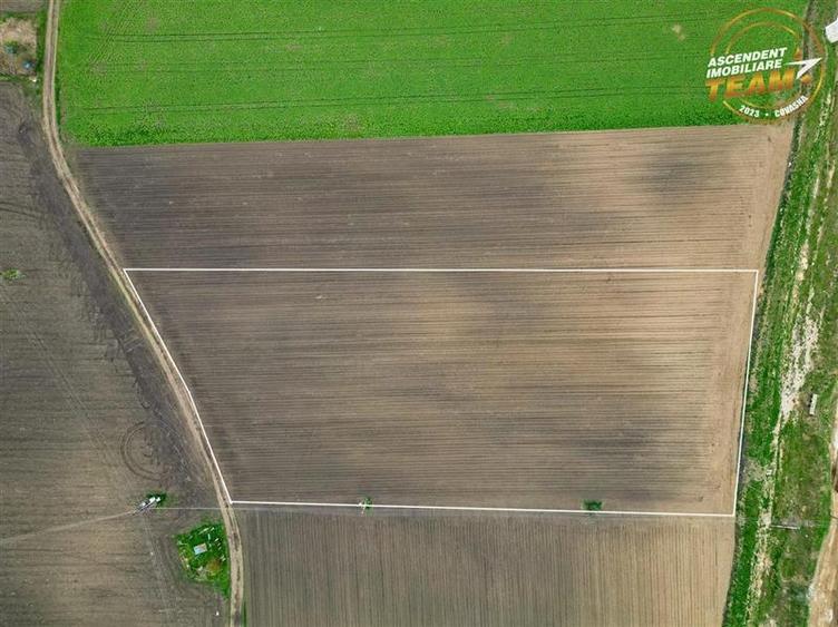 FILM! Teren intravilan cu potential ridicat - zona Sepsi Arena, Arcus, Covasna - 2