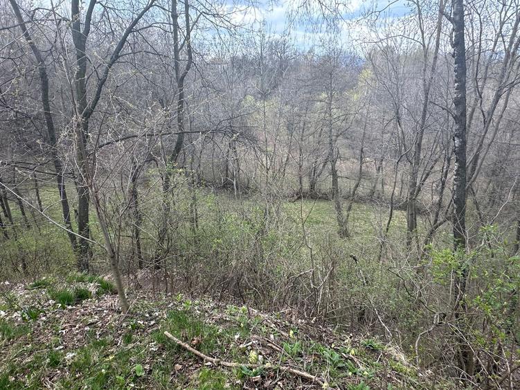 Teren de vanzare comuna Sotrile - 8