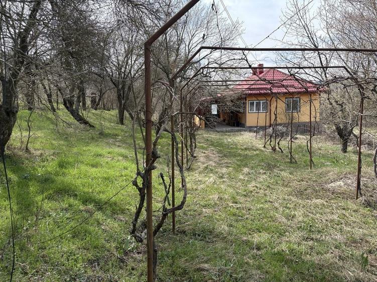 Vand casa noua sat greci - 1