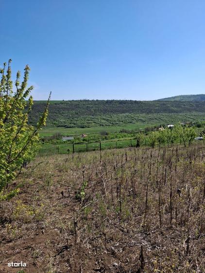 Teren de vanzare, 1074 mp, acces usor. Zona Copou Iasi! - 4