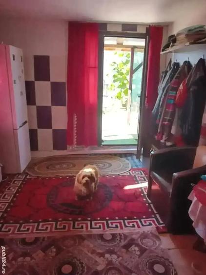 vand casu?a urgent citi?i bine anuntul - 2