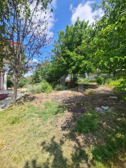 Casa Rediu, Horlesti 150 mp, 1200 mp teren - 4