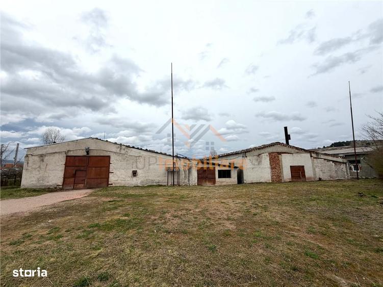 HALE INDUSTRIALE | CLADIRE BIROURI | TEREN 7000 MP | GHEGHIE BIHOR - 4