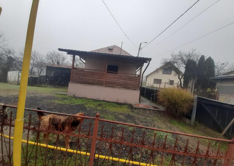 Baia Sprie, casa caramida, 9,4 ari teren - 5