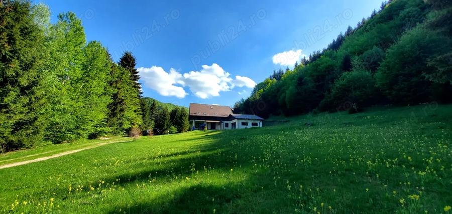 Casa de vacanta 3 niveluri P+E+M Colibita - 2