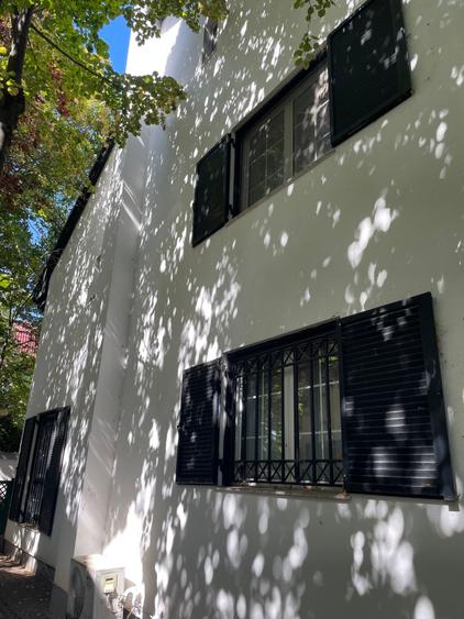 Iancu Nicolae vila 5 dormitoare gradina matura - 14