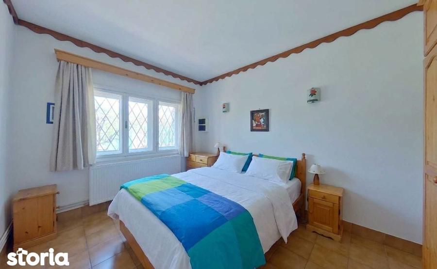 Vila pe lac cu vedere la padure - Pasarea - Branesti - 15