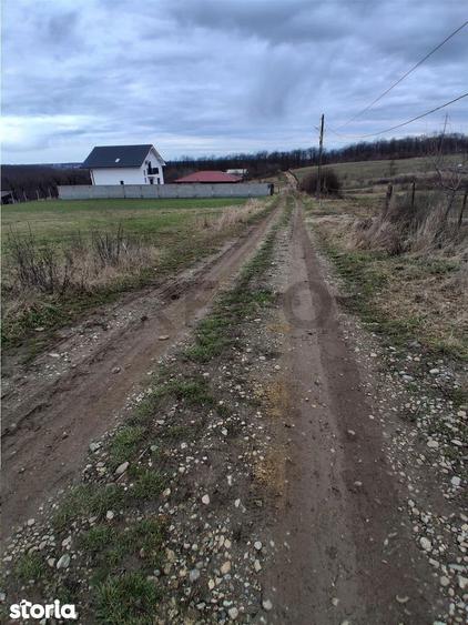 RECO Teren intravilan 5487 mp cu dublu front stradal-zona Betfia - 1