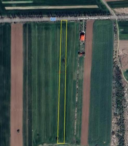 Teren extravilan | Silistea Snagovului | 8500mp | Stradal - 2