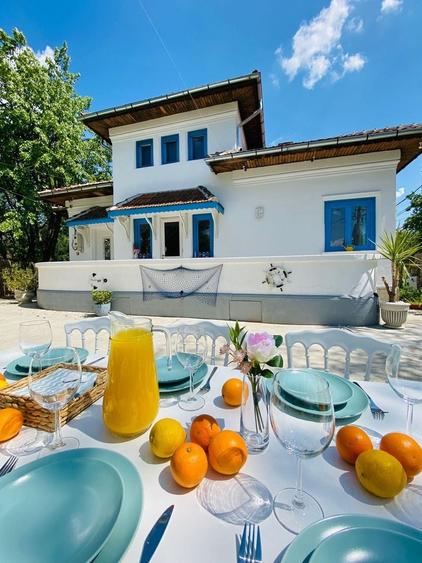 De închiriat vilă deosebită – ideală pentru activități comerciale - 3