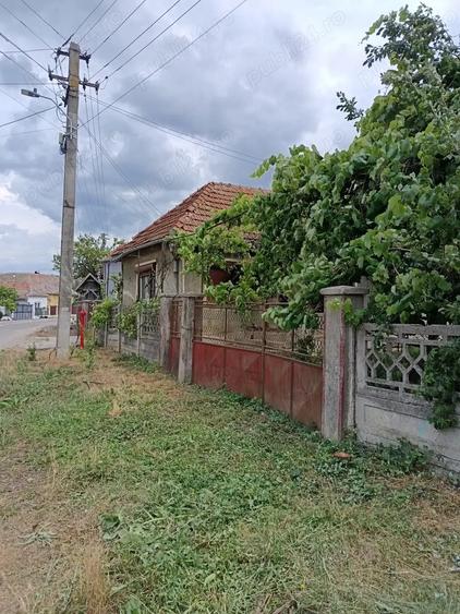 Casa ?i gradina 2100 mp - 6