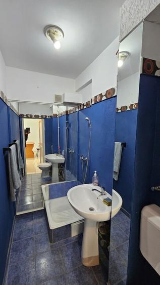 ULTRACENTRAL - 2 cam, cf1,sd,1/4 , liber,intabulat-65000 eur - 7