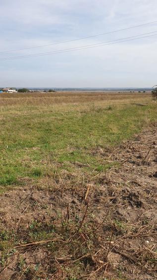 Teren intravilan - 3