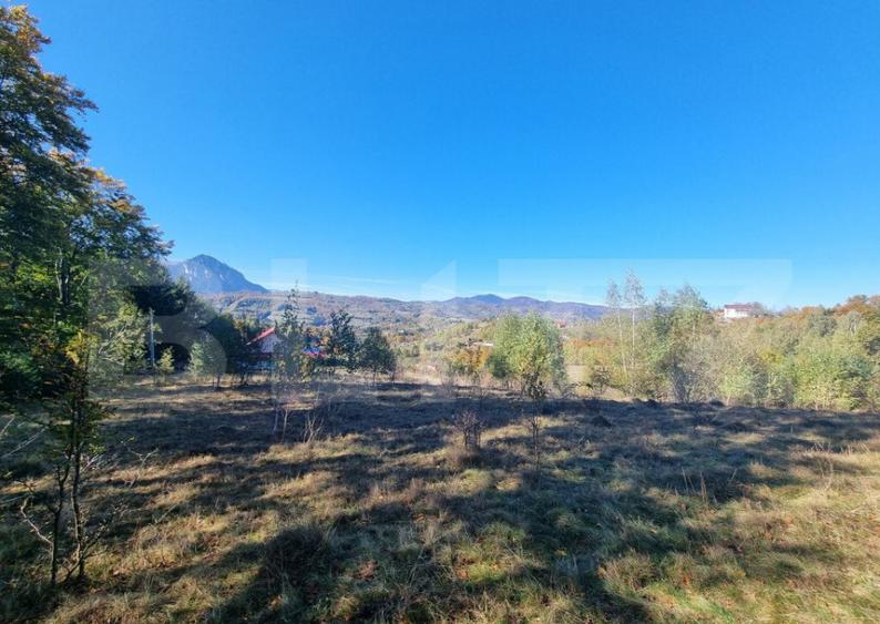 Teren pentru casute de vacanta - Poiana Marului - vedere la - 3