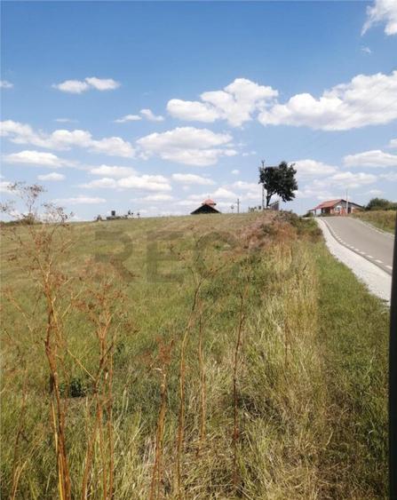 RECO, Teren in Pausa, Nojorid - 1