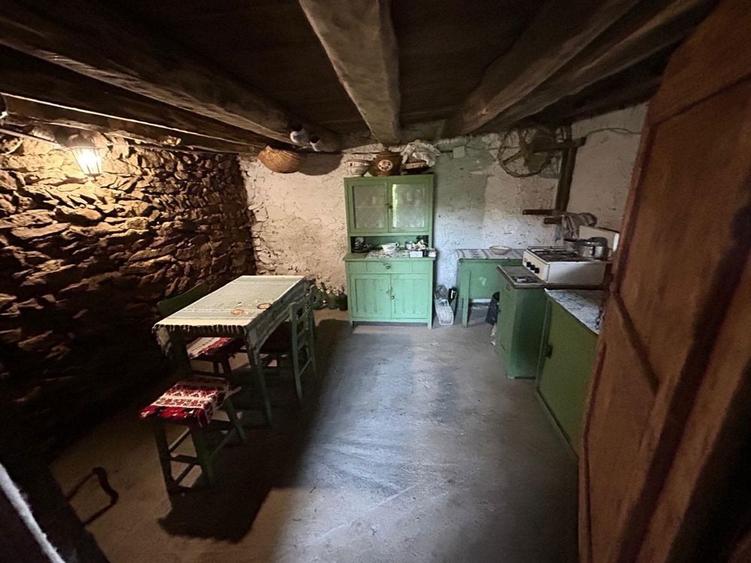 Casa MUSCELEANA , stil Conac , cu livada , teren intravilan- 2 000 mp. - 1