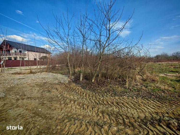 Teren intravilan 2273 mp in Pitesti, str. Mateias, iesire spre Campulu - 5