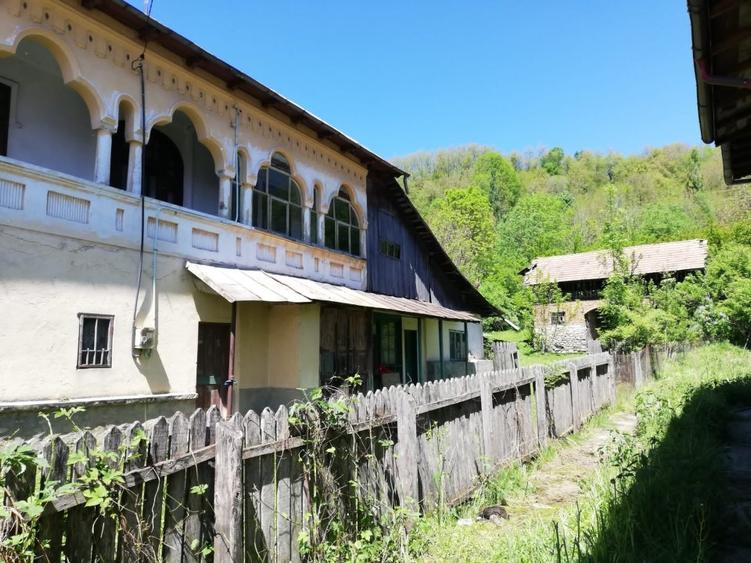 BEZDEAD - Conac 350 mp + 4800 mp teren - 4