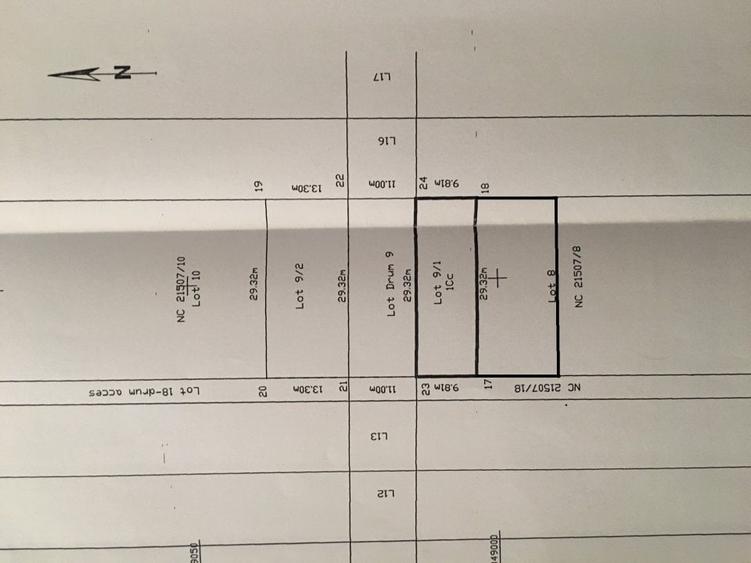 Sector 1, Padurea Pustnicu, Aleea Teisani - 1