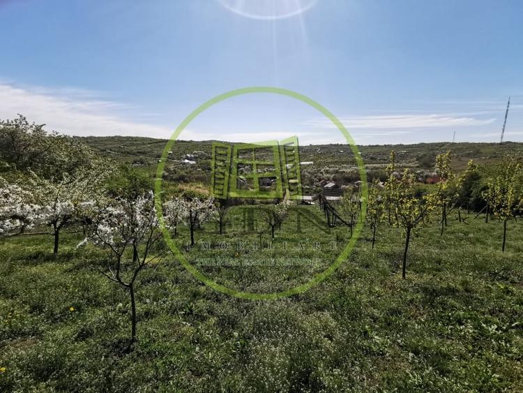 Teren intravilan si extravilan cu anexa gospodareasca amenajata, cu utilitati - 7