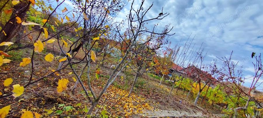 Vand casa in Recas, Timis - 7