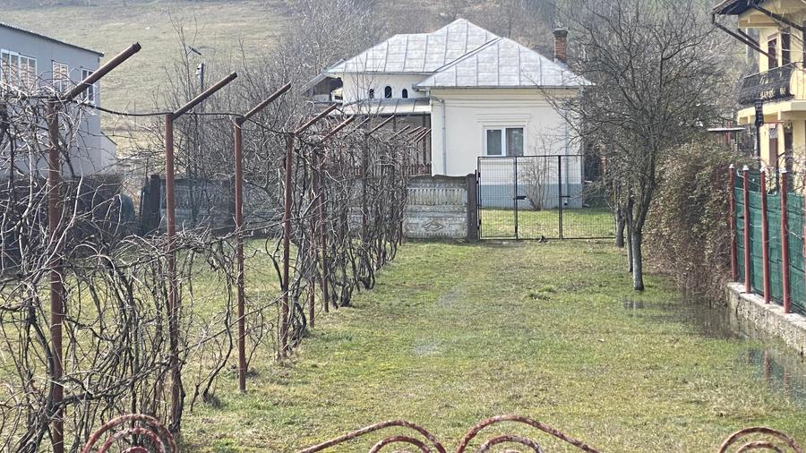 Casa + teren intravilan S= 3200 mp, Dobrogostea, Argeș - idealimob.ro - 1