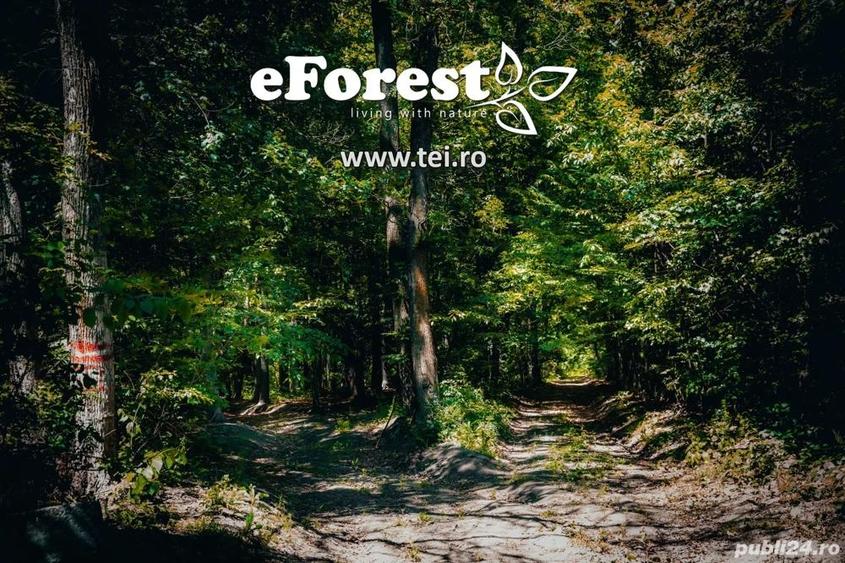 Profita acum de oferta de Pa?te!!! Lot lini?tit langa padure, Crevedia, 665mp - 10