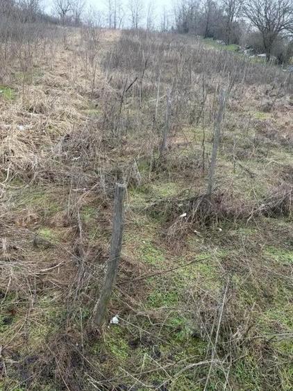 Terenarabil de 700mp la 10000 euro la 60 mp de str E70 Racoteanu - 2