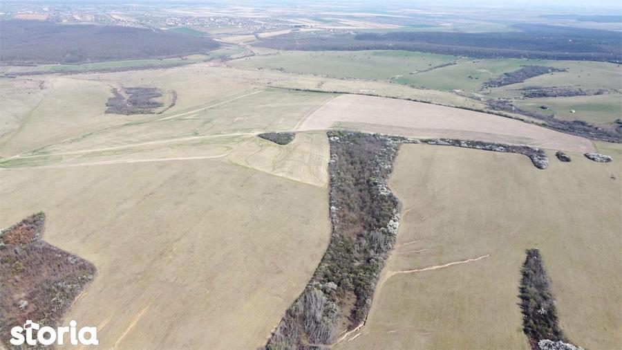Teren 26.82 ha Ardud | Oportunitate pentru dezvoltare - 7