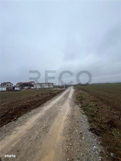 RECO Teren intravilan -loc de casa sau servicii 600 mp Cheriu - 3