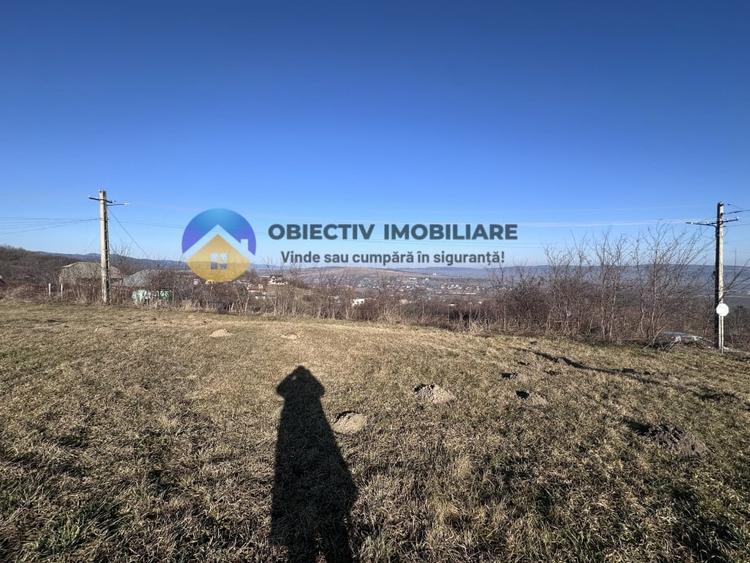 Teren intravilan DOBRENI - 7