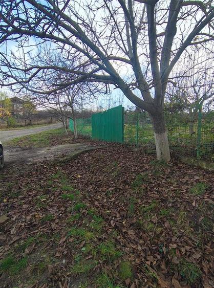 Teren intravilan Bucium 750mp - Trecatoarea Paun - 3