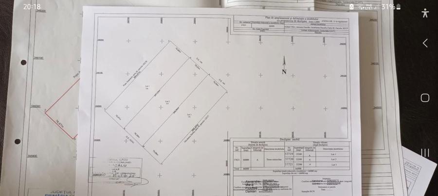 Teren intravilan de vanzare tarlaua 48 Dascalu Ilfov 66000 mp - 6