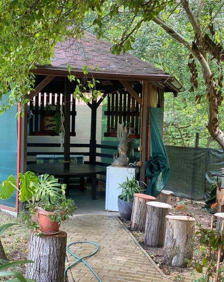 Vila in localitatea Sarata Monteoru, Buzau - 32