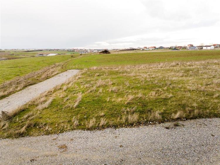 RECO Teren intravilan langa padure 500 mp cu PUZ -Sanmartin - 3