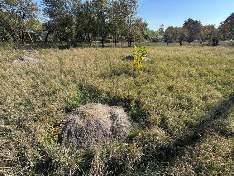 Oferta! teren in zona Mehala - 3