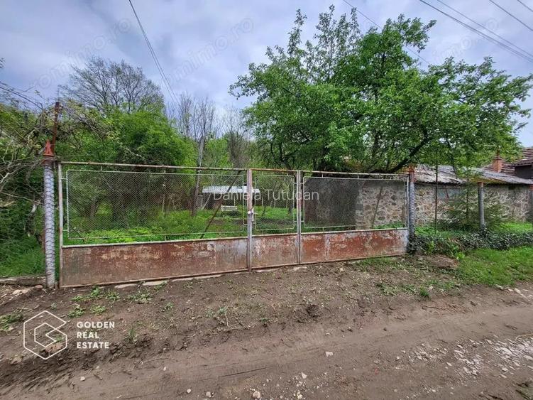 Casa de vacanta Baratca, comuna Paulis