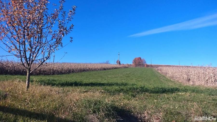 Vand teren de casa, intravilan, utilitati la poarta - 6