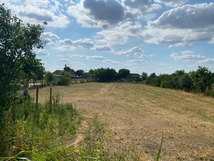 Casa + teren 2877 mp in Loc. Dolat, Com. Livezile direct de la proprietar! - 7