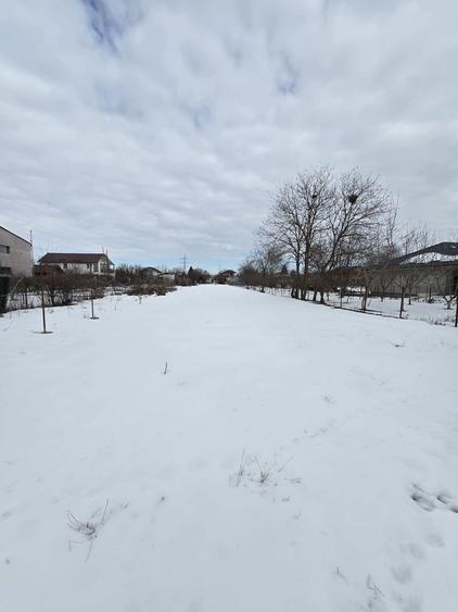 Teren de vanzare in Cornetu - 5