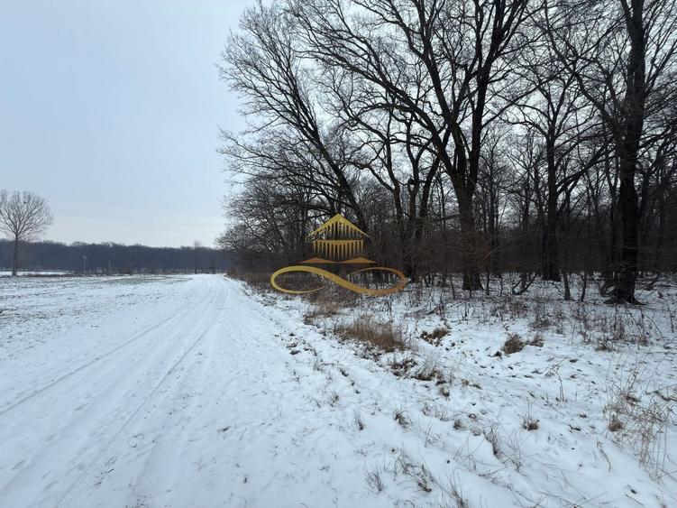 Teren extravilan - Padure de vanzare in Beresti Bistrita - 3