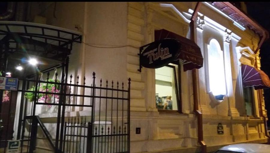 Cismigiu, priveliste superba,  vila consolidata si renovata total. - 13